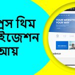 ওয়ার্ডপ্রেস থিম কাস্টমাইজেশন কি? এবং কাস্টমাইজেশন থেকে আয় করার উপায়